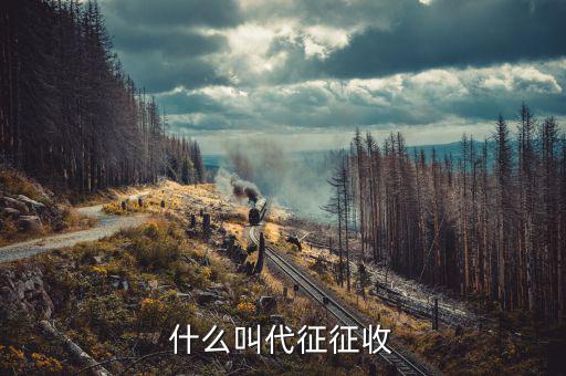 什么叫代征規(guī)費，什么是規(guī)費