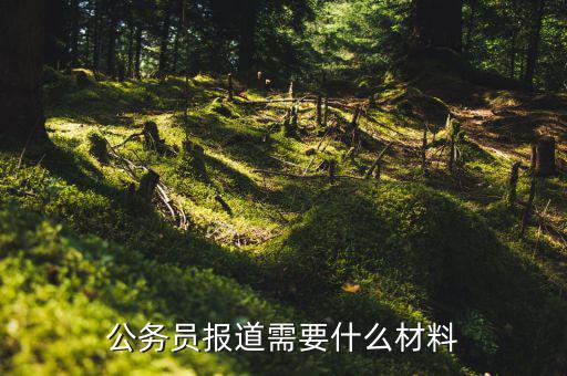 統(tǒng)務(wù)局報到用什么資料，畢業(yè)生檔案報到證報道手續(xù)