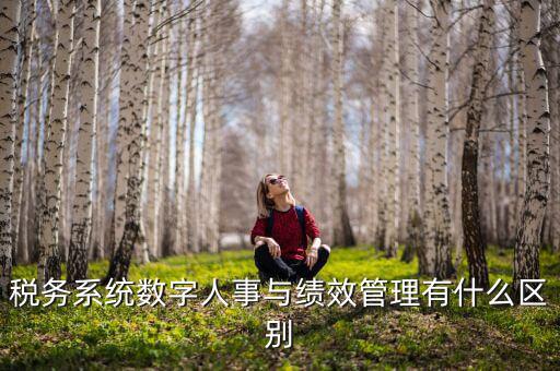 數(shù)字人事評是什么，稅務系統(tǒng)數(shù)字人事與績效管理有什么區(qū)別