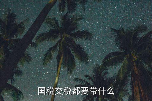 國稅錄指紋需要帶什么，國稅交稅都要帶什么