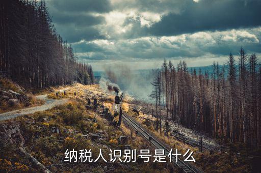 稅務(wù)人識別號是什么，稅納人識別號是什么東東
