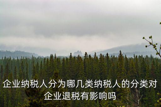 什么A級B級信用納稅人，A級增值稅一般納稅人C級增值稅一般納稅