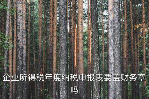所得稅年報(bào)要蓋什么章，企業(yè)所得稅年度納稅申報(bào)表要蓋財(cái)務(wù)章嗎