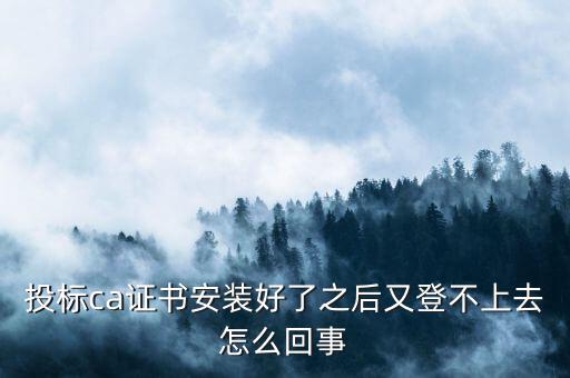 ca登陸不上是什么原因，登不上是怎么回事