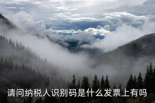 發(fā)票納稅人代碼是什么意思，請問納稅人識別碼是什么發(fā)票上有嗎
