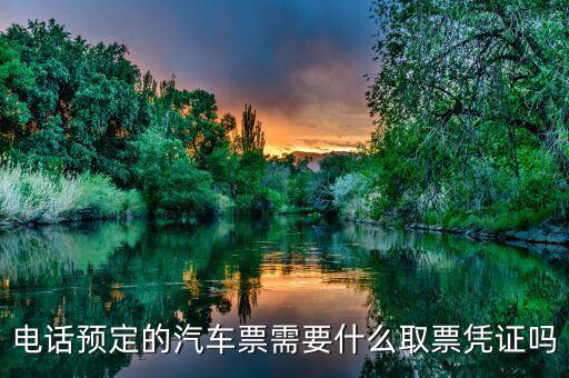 電話取票需要帶什么資料，電話預(yù)定的汽車(chē)票需要什么取票憑證嗎