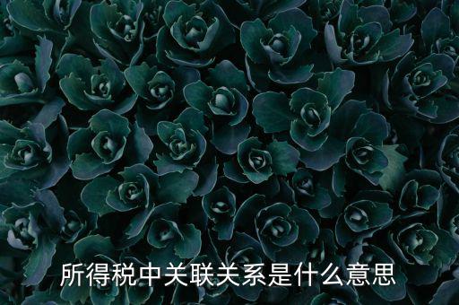 所得稅關(guān)聯(lián)表是什么意思，所得稅中關(guān)聯(lián)關(guān)系是什么意思