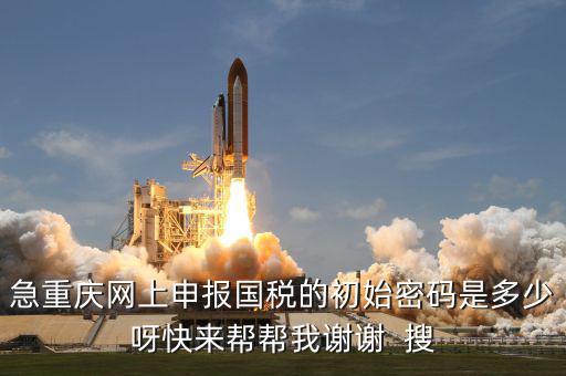 網(wǎng)上國稅申報的密碼是什么，急重慶網(wǎng)上申報國稅的初始密碼是多少呀快來幫幫我謝謝  搜
