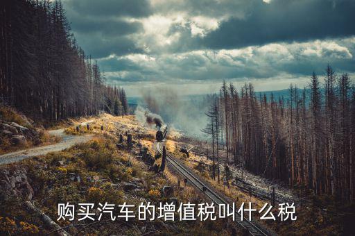 什么是汽車增值稅，什么是汽車增值稅