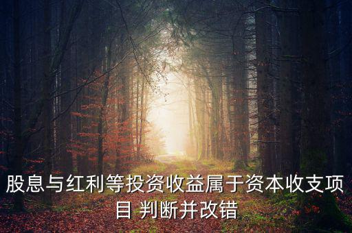 股息紅利等投資收益屬于什么，股息與紅利等投資收益屬于資本收支項(xiàng)目 判斷并改錯(cuò)