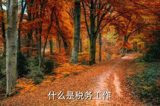 什么是稅務(wù)人員，稅務(wù)專(zhuān)員是一種什么工作和會(huì)計(jì)有什么不同和會(huì)計(jì)一樣也分從