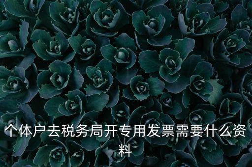 個(gè)體戶開(kāi)專票需要什么，個(gè)體在國(guó)稅局開(kāi)增值稅專用發(fā)票需要什么資料