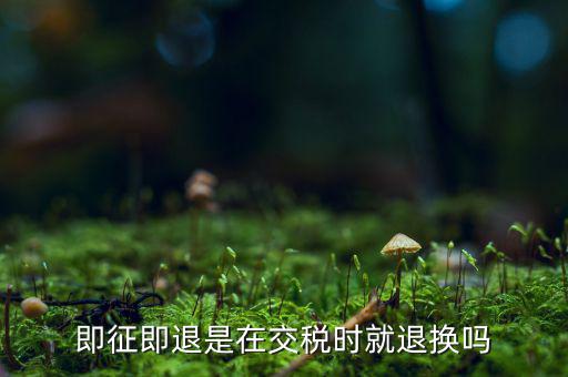 即征即退什么時(shí)候退，辦理了即征即退的企業(yè)稅務(wù)局什么時(shí)候退稅