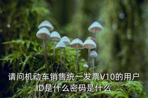 發(fā)票登錄密碼是什么，國(guó)稅局發(fā)票軟件里用戶代碼和密碼是什么