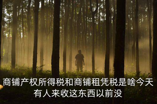 什么叫店面租憑稅，商鋪產(chǎn)權(quán)所得稅和商鋪?zhàn)鈶{稅是啥今天有人來收這東西以前沒