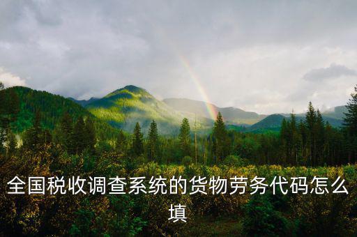 商品和勞務(wù)編碼是什么，貨物勞務(wù)代碼如何填