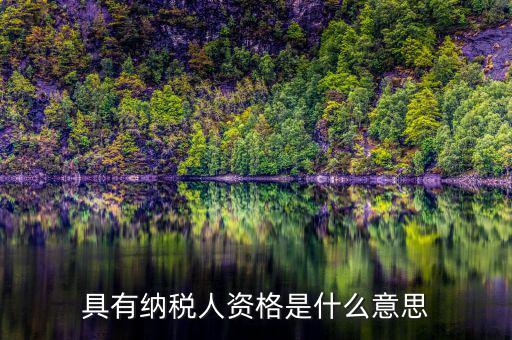 單位納稅資質(zhì)是什么，具有納稅人資格是什么意思