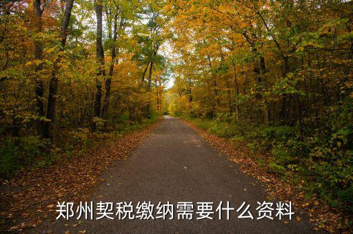 鄭州報(bào)稅用什么資料，鄭州國稅網(wǎng)上申報(bào)問題
