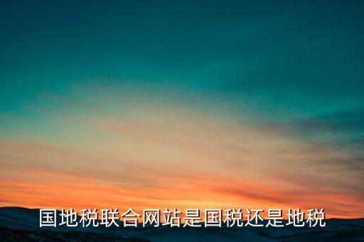 國地稅聯(lián)合辦稅是什么意思，國地稅聯(lián)合稅費申報什么意思