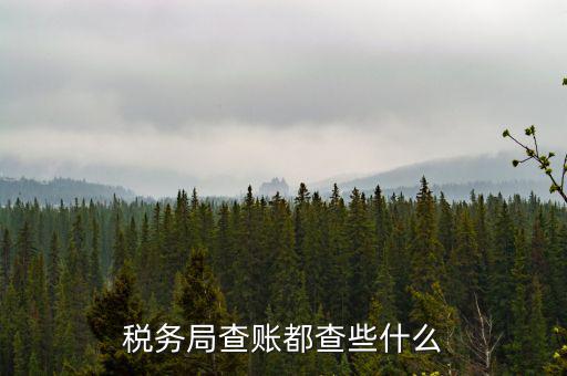 稅務(wù)局查稅一般查什么，請(qǐng)問一下老師一般稅務(wù)局人來查帳一般查什么的