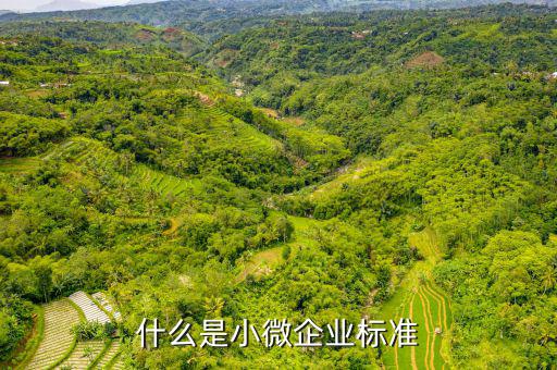 小型微利企業(yè)標(biāo)準(zhǔn)是什么，微小型企業(yè)的標(biāo)準(zhǔn)是什么