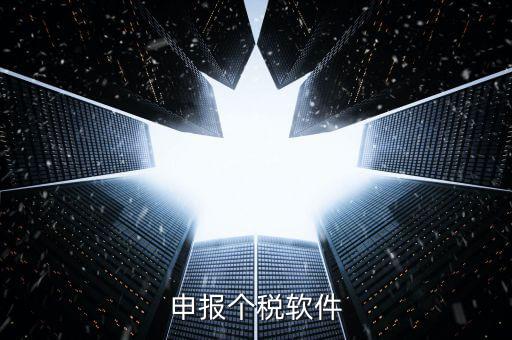 個稅用什么軟件申報表，個稅申報軟件里面扣繳個人所得稅明細(xì)報告表打印