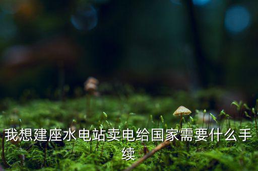 企業(yè)賣電需要什么手續(xù)費，我想建座水電站賣電給國家需要什么手續(xù)
