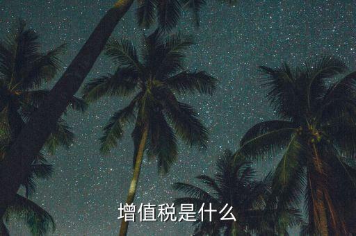 增值稅增值部分是什么，財(cái)務(wù)上增值部份是指什么如進(jìn)項(xiàng)發(fā)票為10萬銷項(xiàng)發(fā)票為30萬兩項(xiàng)