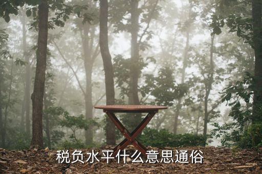 稅收管理水平是指什么，稅務(wù)管理的定義