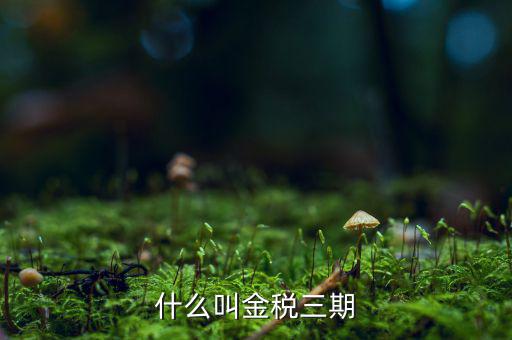 為什么叫金稅三期，2016年金稅三期上線那金稅三期到底是啥呢