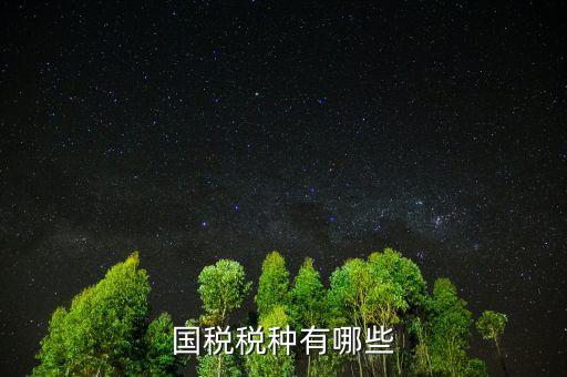 國稅都有什么稅，國稅包括哪些啊