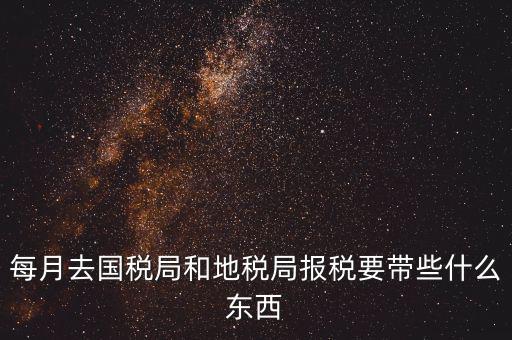 國稅大廳報(bào)稅需要什么，你好請(qǐng)教你一下如果我去國稅大廳報(bào)稅的話都需要帶什么東西填
