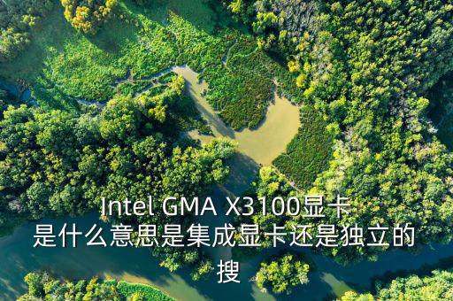 國(guó)稅集成理念是什么意思，Intel GMA X3100顯卡 是什么意思是集成顯卡還是獨(dú)立的  搜