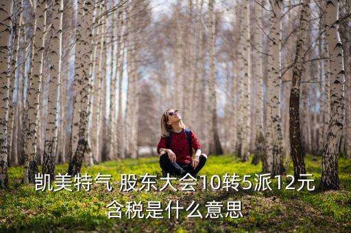 氣稅什么意思，現(xiàn)在的奧迪A6市場價是多少錢買新車時都需要些什么