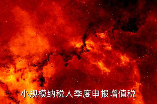 小規(guī)模季報(bào)申報(bào)增值稅帶什么，小規(guī)模納稅人增值稅申報(bào)要準(zhǔn)備什么資料