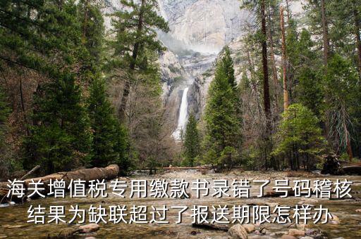 海關(guān)增值稅專用繳款書(shū)錄錯(cuò)了號(hào)碼稽核結(jié)果為缺聯(lián)超過(guò)了報(bào)送期限怎樣辦
