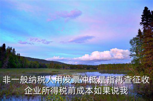 什么是非一般納稅人，非一般納稅人用發(fā)票沖抵是指再查征收企業(yè)所得稅前成本如果說我