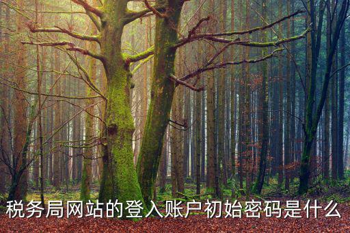 浙江國(guó)稅登入密碼是什么，稅務(wù)局網(wǎng)站的登入賬戶初始密碼是什么