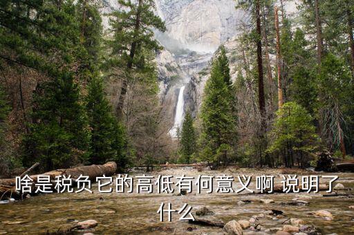 什么是稅負(fù)分析，增值稅稅負(fù)什么意思