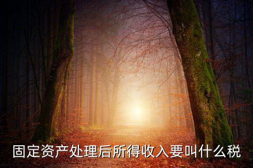 什么叫做試點納稅人，固定資產(chǎn)處理后所得收入要叫什么稅