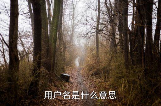 個(gè)稅用戶名是指什么意思，用戶名是什么意思