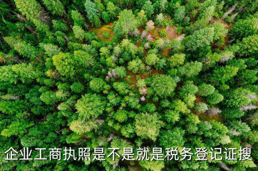 什么是工商稅務(wù)登記證，什么是稅務(wù)證