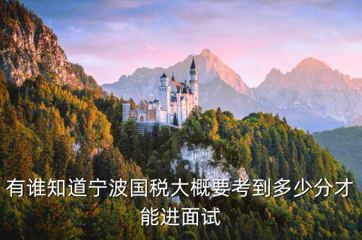 國(guó)稅 要求什么素質(zhì)，國(guó)稅公務(wù)員面試