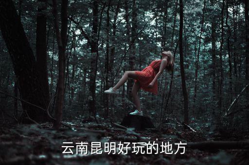 云南昆明地稅旁有什么好玩的地方，云南昆明有哪些好玩的地方