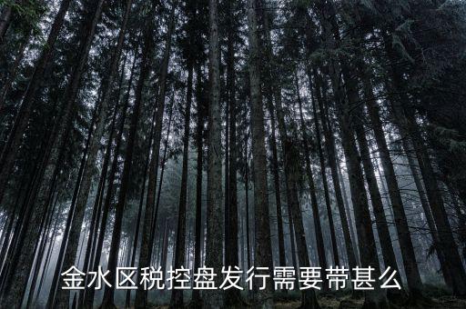 稅盤發(fā)行要帶什么資料，去國稅局辦發(fā)行需要什么資料