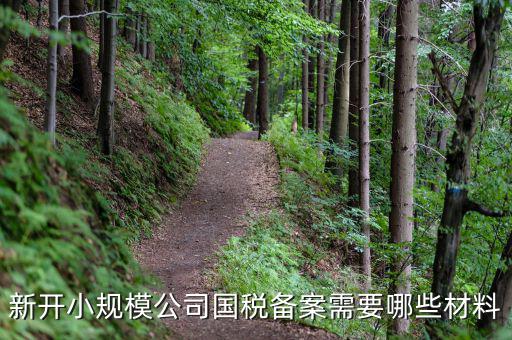 國(guó)稅備案需要什么材料，新開(kāi)小規(guī)模公司國(guó)稅備案需要哪些材料