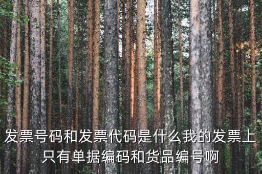 發(fā)票代碼和發(fā)票號碼是什么，發(fā)票代碼和發(fā)票號碼有什么用