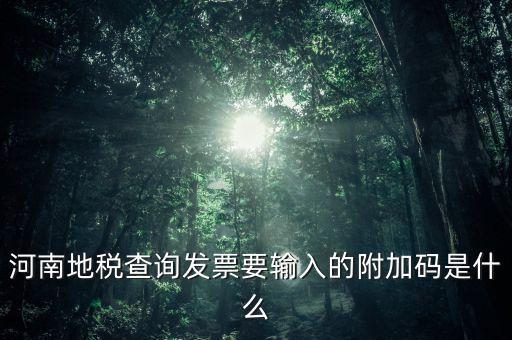 河南發(fā)票密碼是什么樣的，河南地稅查詢(xún)發(fā)票要輸入的附加碼是什么