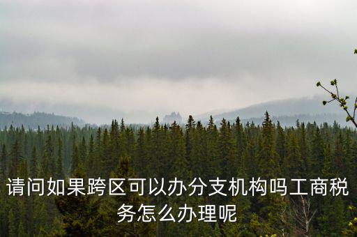 請問如果跨區(qū)可以辦分支機構嗎工商稅務怎么辦理呢