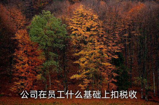 什么是稅收基礎(chǔ)工作，問個問題稅務(wù)基本建設(shè) 是個什么崗位